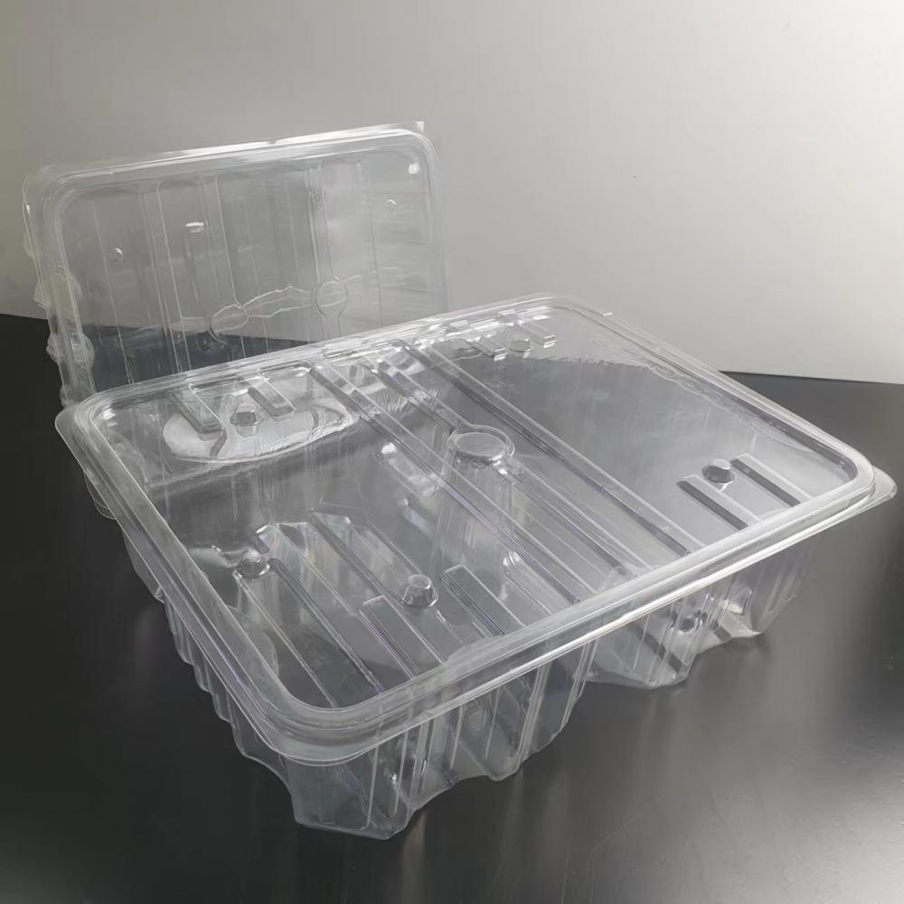 Pet Thermoforming Container22 Jpg