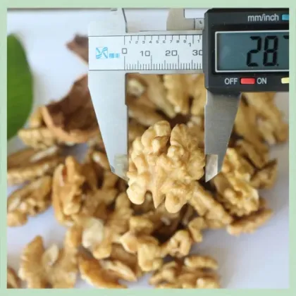 New Crop Dry Walnut Walnuss Nuts Nuss