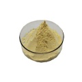 Buy online CAS331-39-5 caffeic caffeine solubility powder