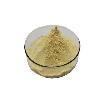 Buy online CAS331-39-5 caffeic caffeine solubility powder