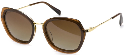 C2 Acetate Sunglasses Transparent Brown-Gold