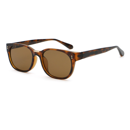 Outdoor Unisex Vintage Square PC Sunglasses Low MOQ