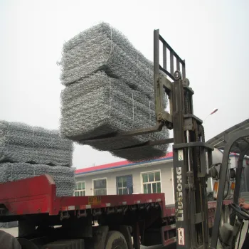 hexagonal wire mesh/stainless steel gebion mesh