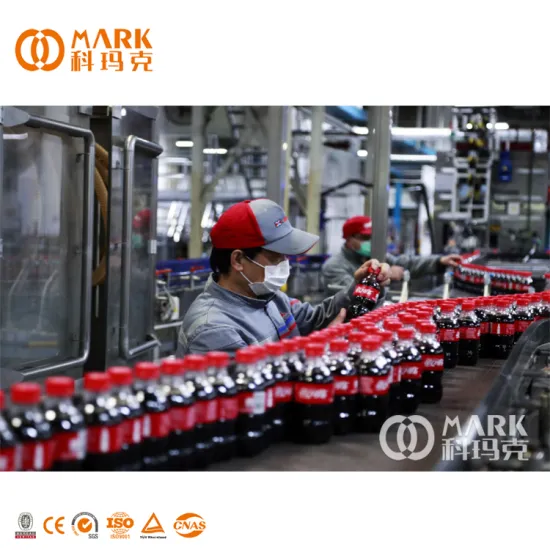 Full Automatic PET Bottle Soda Carbonation Filling and Packaging Line with CO2 and Water Mixing