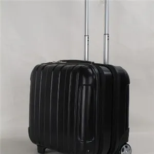 Pilot Case