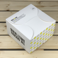 Full Color Snack Food Packaging Box