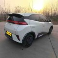 BYD Seagull 2025 Smart Driving Vitality 305KM Edition