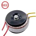 Customiezd toroidal Transformer 800W 500W 300W