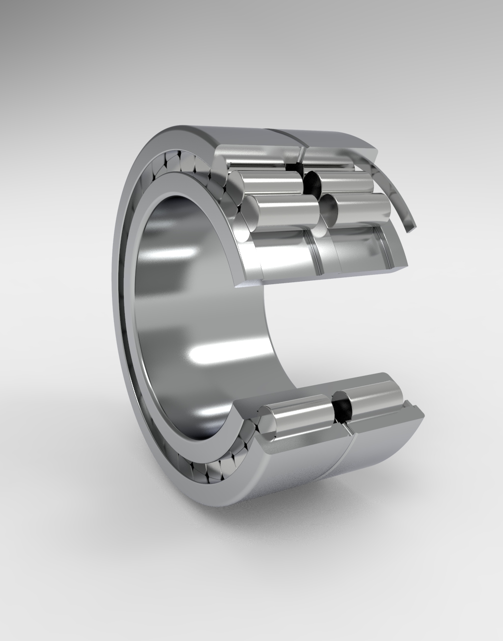 Double row full cylindrical roller bearings1