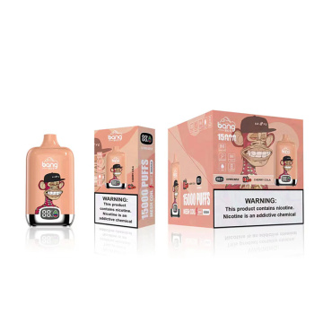 Bang box 15000 puffs 25ml wholesale cigarette France