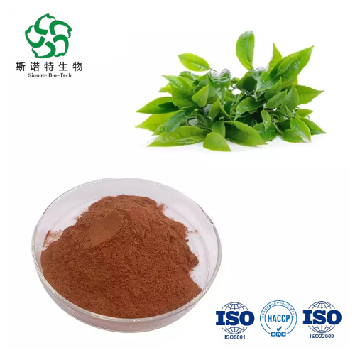 Highly Recommend Pure Tea Polyphenol Powder Best Price Green Tea Extract Tea Polyphenol Powder Supplier