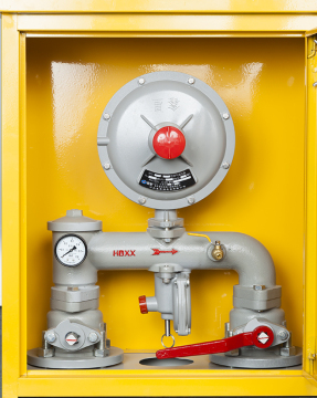 RTZ-Q Gas Pressure Regulator