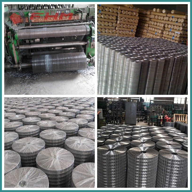 Welded Wire Mesh