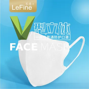 Disposable Fold Mask for Dust Protection