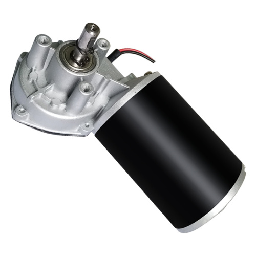 Small Worm Gear Motor DC Robot Motor