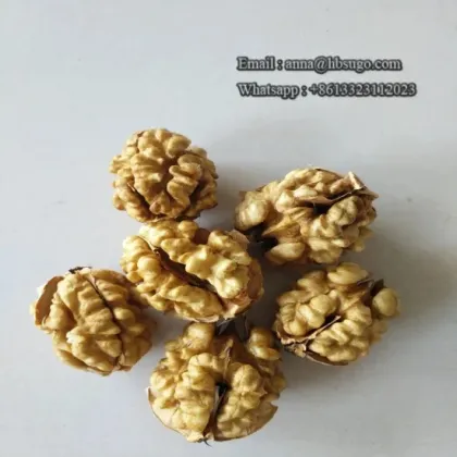 Various Sizes Walnut Kernels First Quality Walnut Kernel