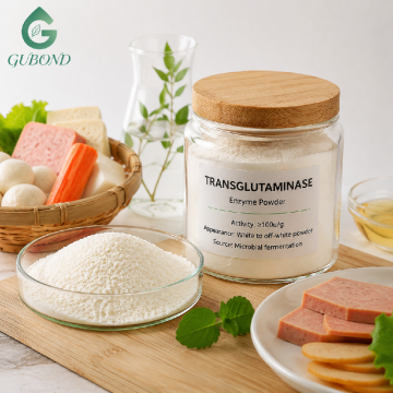 مسحوق إنزيم Transglutaminase لربط البروتين