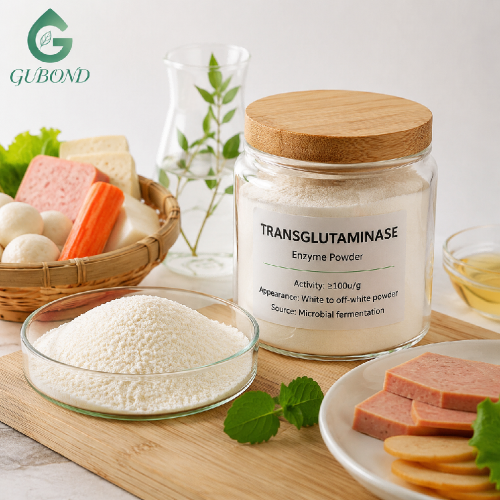 مسحوق إنزيم Transglutaminase لربط البروتين