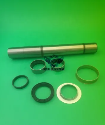 Repair kit/rear beam (rocker) bearings SNR/ pin Peugeot 306 KS559.08 and PIN