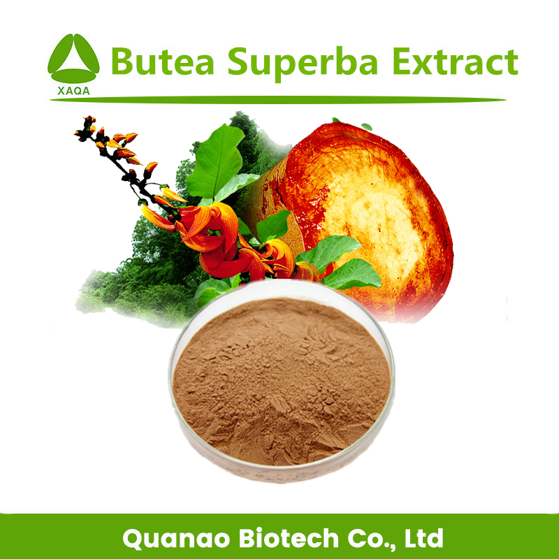 Butea superba extract 2