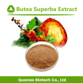 Preço em massa Butea Superba Extract Powder 10: 1