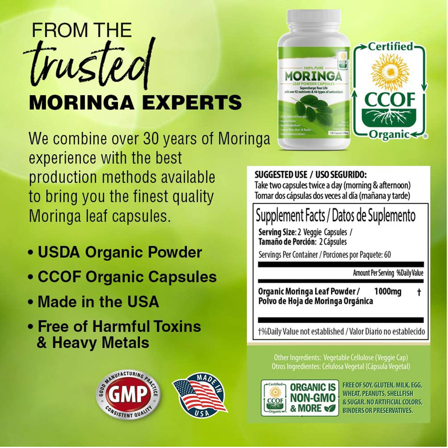 OEM/ODM Moringa Oleifera Powder Capsules 에너지 대사 면역 부스터 캡슐