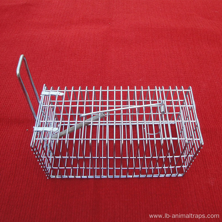 Rodent Rat Trap mouse trap cage for house