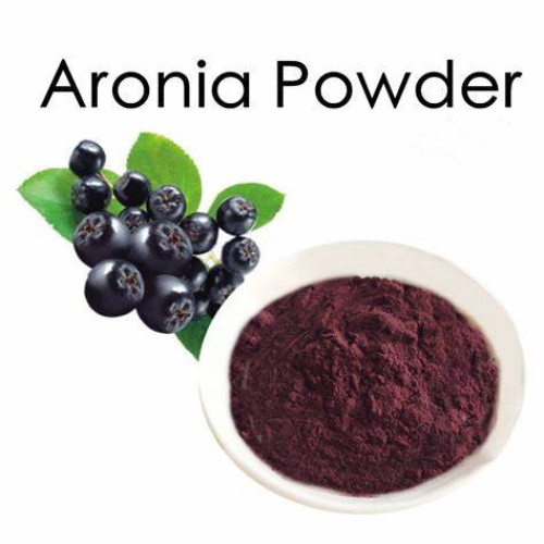 Natural Aronia Berry Extract Powder