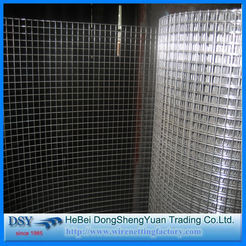 Hot - Dipped Galvanized Welded Wire Mesh