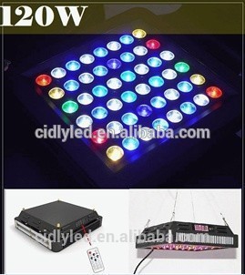 ZA cidly hot led lamp aquarium 120w led aquarium lighting