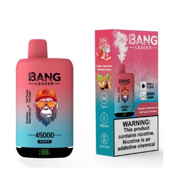 Bang Leader 45000 Hits Disposable Vape Device
