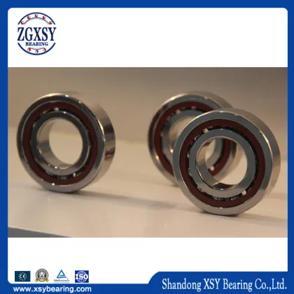 SKF FAG NTN Koyo NSK Hrb Timken Angular Ball Bearing