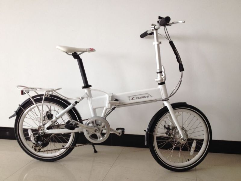 Front and Rear Suspension Light Weight Electric Bike