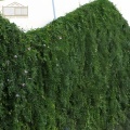 Malha de alpinista de jardins pesados