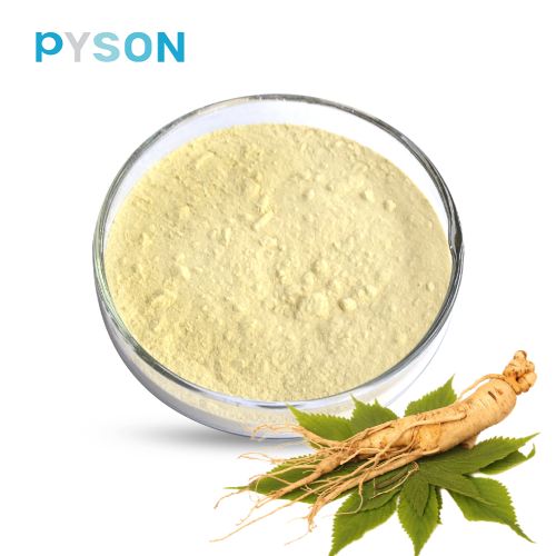 American Ginseng Extract Ginsenosides 5%