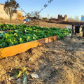 Corten Stahl Rasen Kantegartenbett Landschaftskante