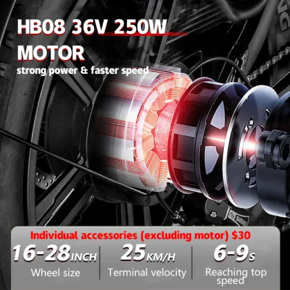LVCO Chinese Manufacturer Electric Bike Kits and Motors