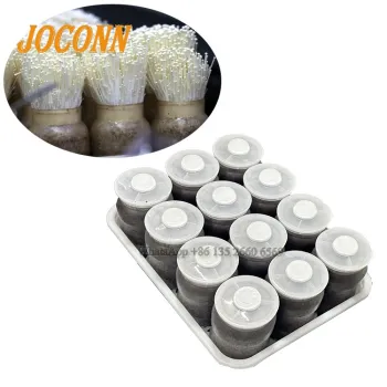 Factory Price King Oyster Mushroom Cultivation Bottles