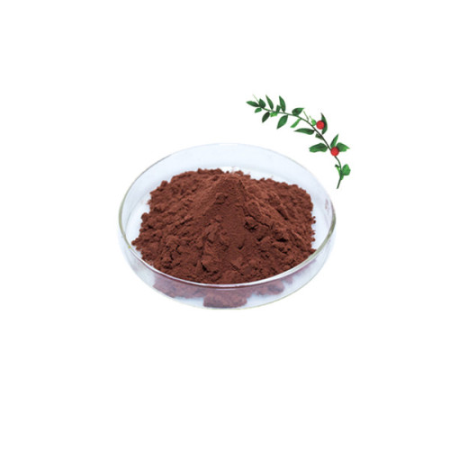 Butcher's Broom Root Extract