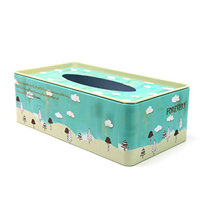 Tissue metal box