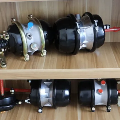 Hot Sale T9/6200 D/P & T12/6200 D/P Brake Chambers for FORD Trucks