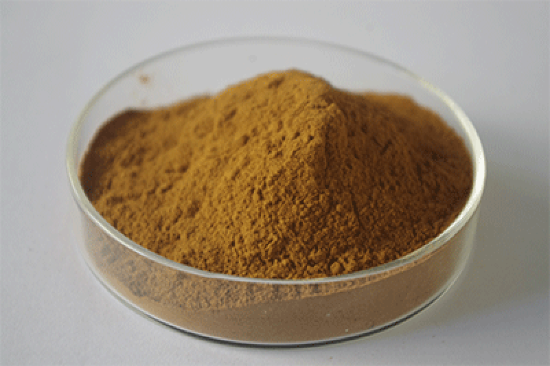 Polygonum Multiflorum Thunb Extract Polygonum Multiflorum Thunb Extract