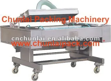 DZ1000 Vacuum packing machine
