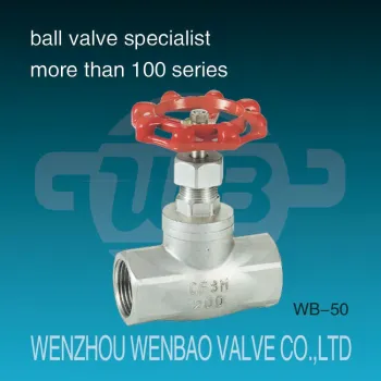 WB-50 Stainless steel globe valve /200psi globe valve /globe valve price