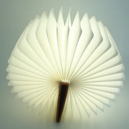 2016 New Products Book Shaped Design USB Rechargeable Battery Fancy Lumio Book Lamp,Led Book Light