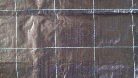 PP Woven Fabric 15X15cm Cross Line