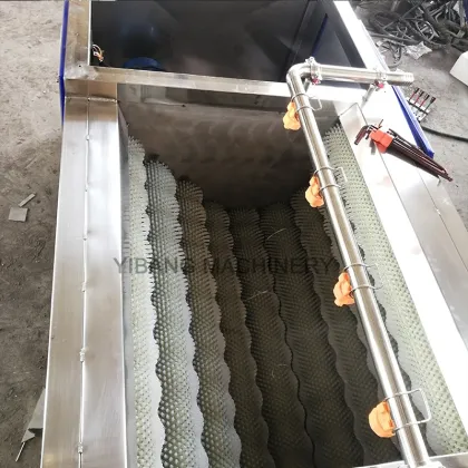 Pecan Washing and Vegetable Cleaning Machines