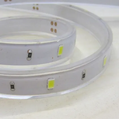 SMD5630 LED Strip Light Warm Pure Cool Color