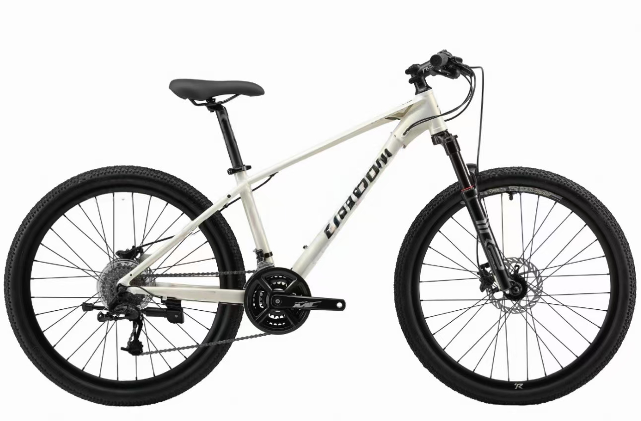 Bicicleta de montaña Q1