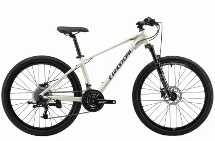 Mountain Bike Q1